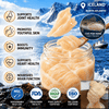 🥛 Icelandic Cod Fish Maw Creamy Milk Dessert 🐟- June