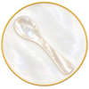 Handcrafted Mother of Pearl Serving Spoon